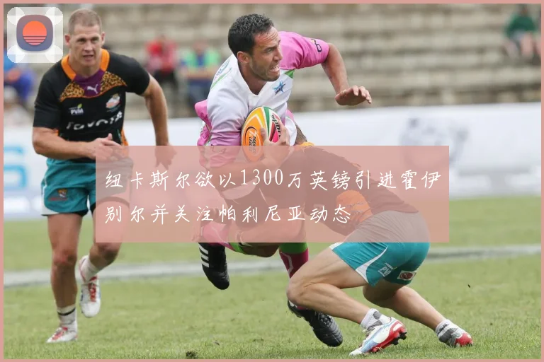 纽卡斯尔欲以1300万英镑引进霍伊别尔并关注帕利尼亚动态